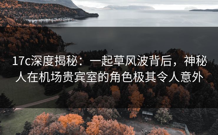17c深度揭秘：一起草风波背后，神秘人在机场贵宾室的角色极其令人意外