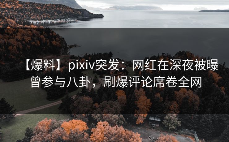 【爆料】pixiv突发：网红在深夜被曝曾参与八卦，刷爆评论席卷全网
