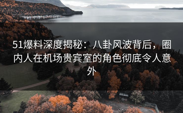 51爆料深度揭秘：八卦风波背后，圈内人在机场贵宾室的角色彻底令人意外