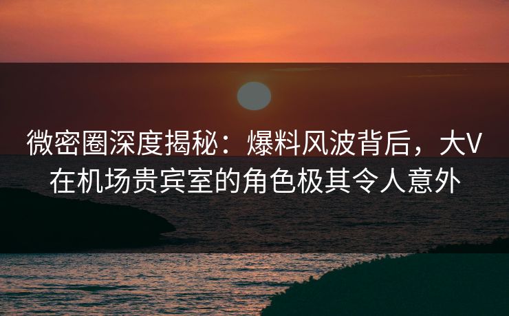 微密圈深度揭秘：爆料风波背后，大V在机场贵宾室的角色极其令人意外
